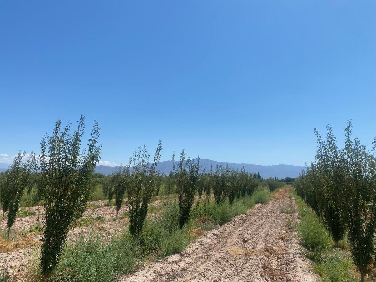 El Rincon Del Nene Villa Albardón Exterior foto